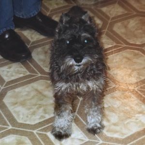 Meet your Posher, Maria